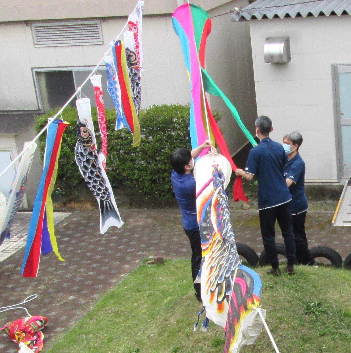 5月の空に鯉のぼり♪