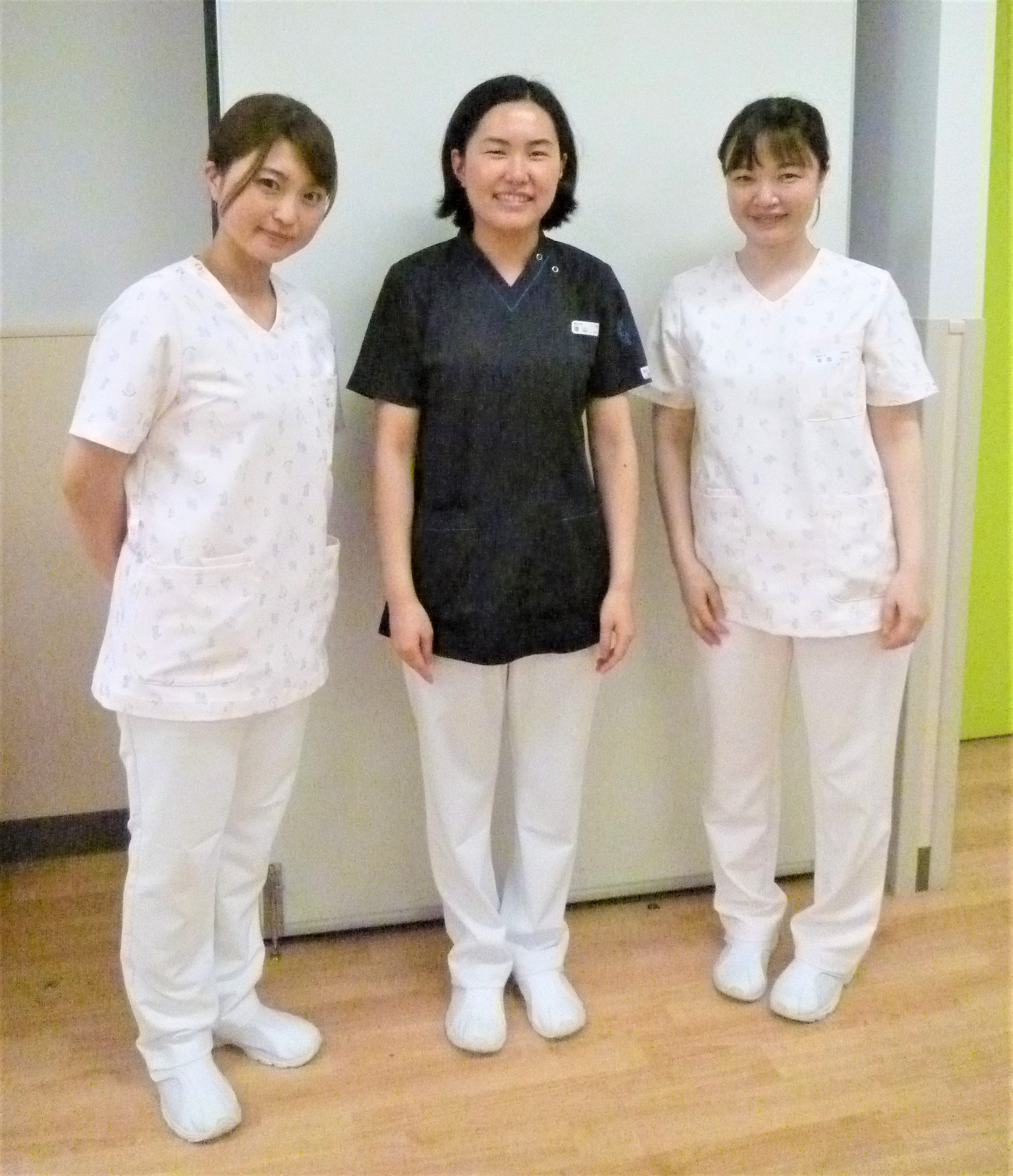 STRELITZIA PARK 看護士 病院ユニホーム STRELITZIA PARK 看護士 病院