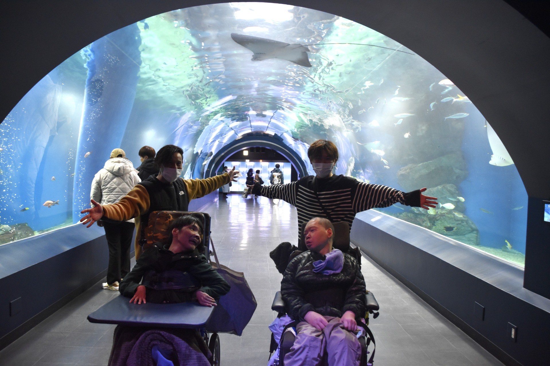 大型観光バスで行く、水族館　日帰りバスツアー‼