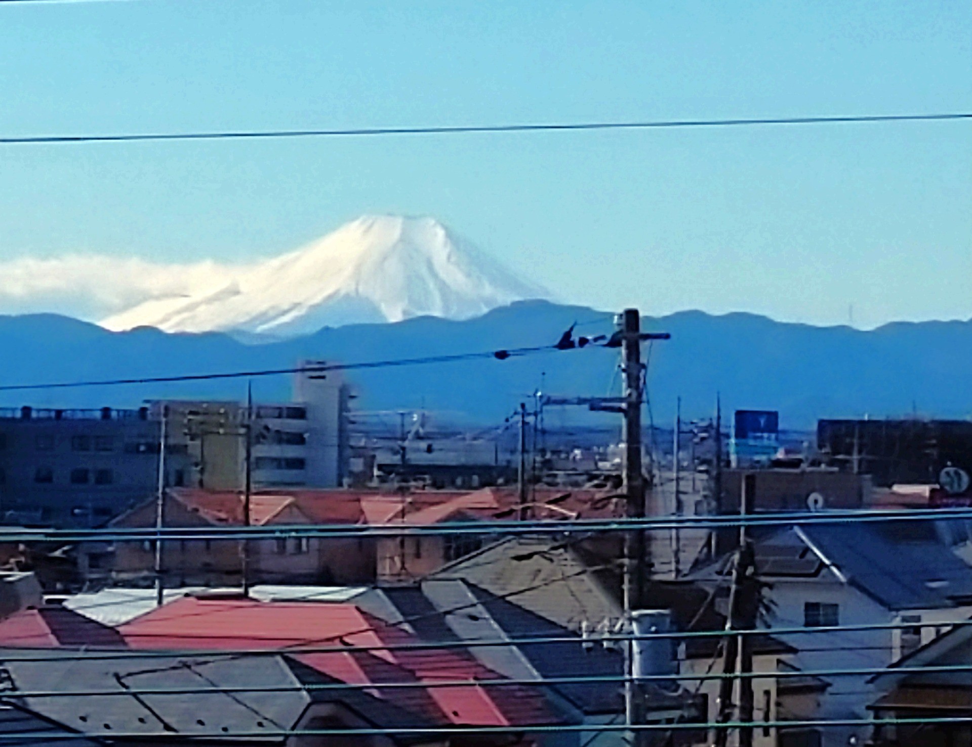 仕事の合間に、ひと息🍵