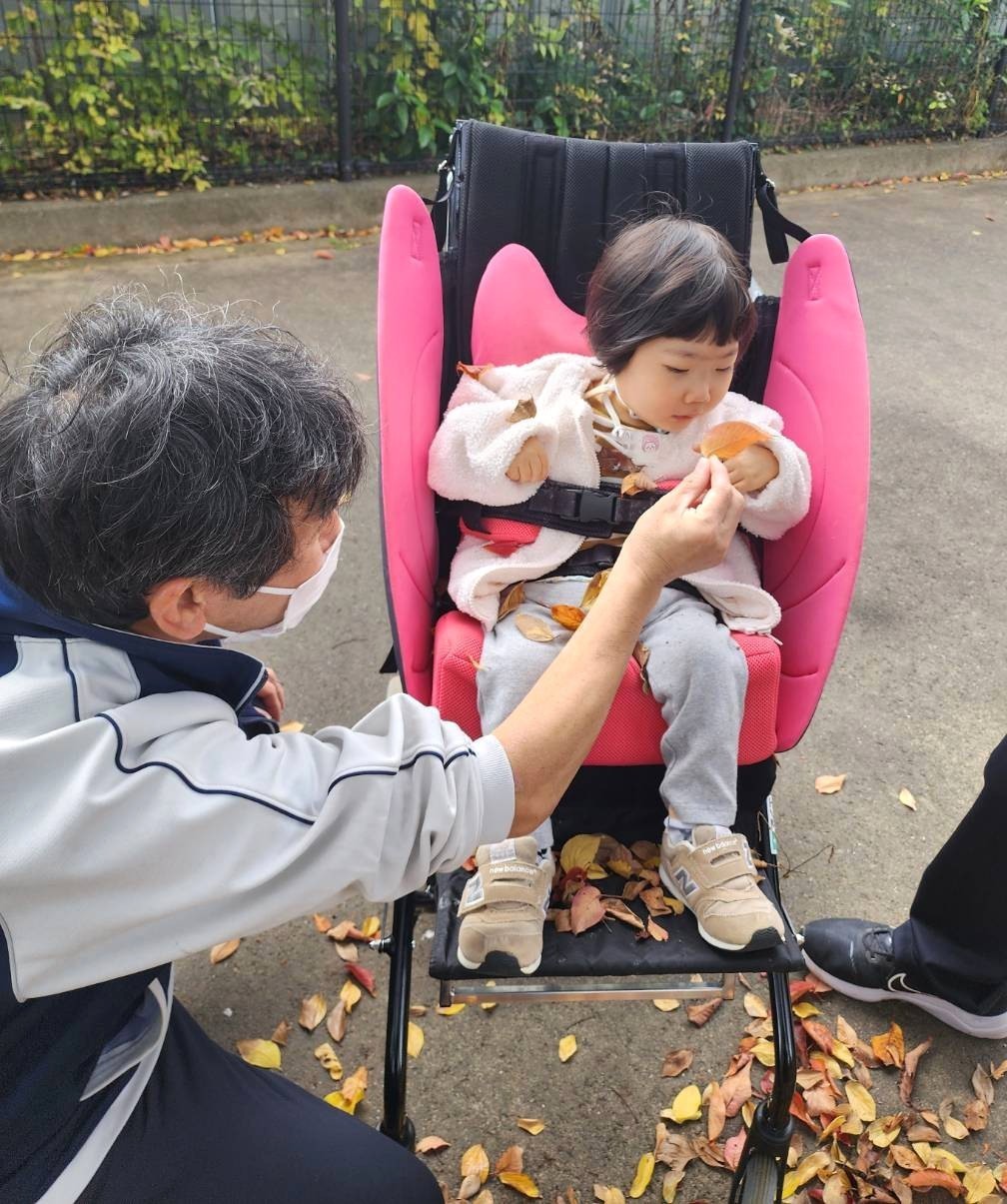 小さな秋、見つけました🍂