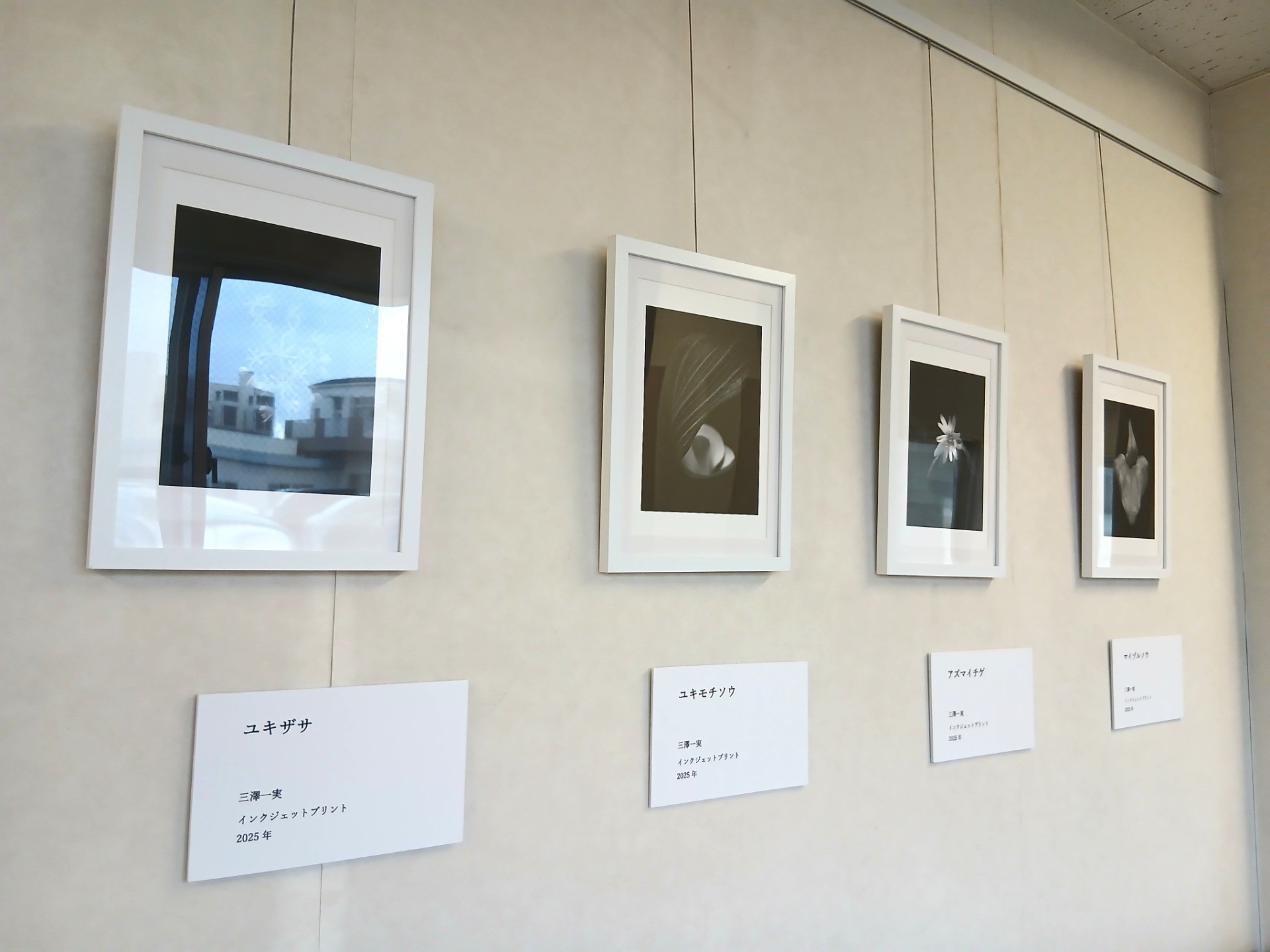 武蔵野美術大学の作品が展示してあります。